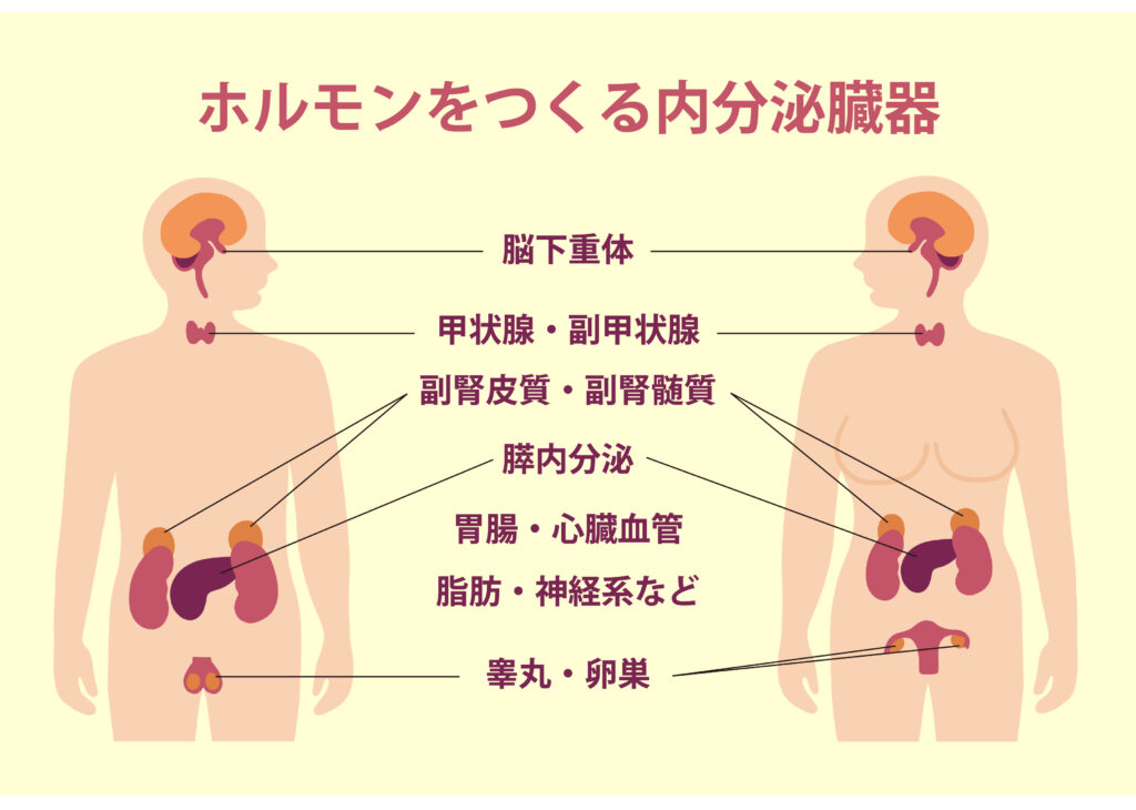 朝起きられないのは、副腎疲労かも？